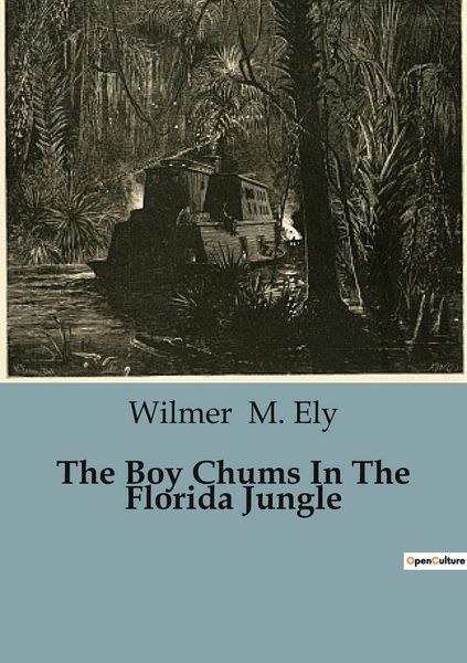 Produktbild: The Boy Chums In The Florida Jungle