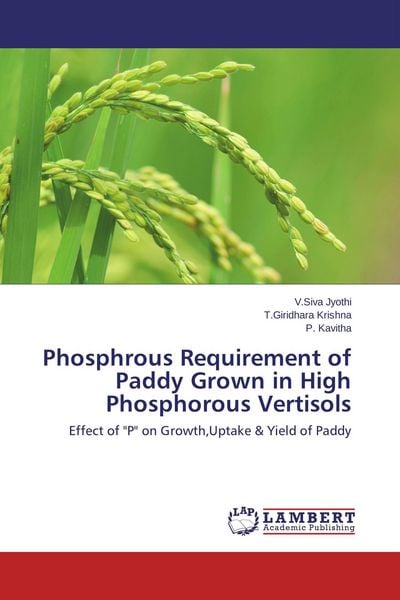 Produktbild: Phosphrous Requirement of Paddy Grown in High Phosphorous Vertisols