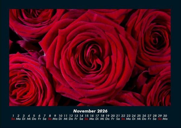 Produktbild: Blumenkalender 2026 Fotokalender DIN A4