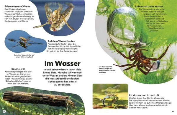 Produktbild: memo Wissen Kids. Insekten