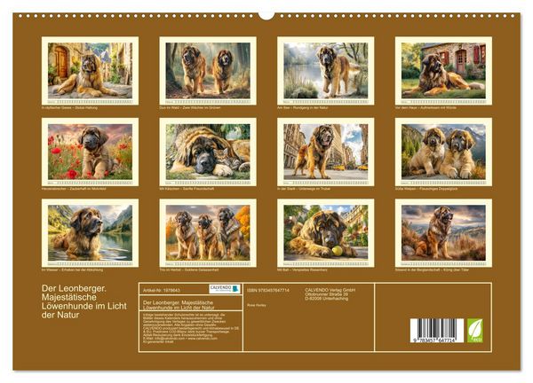 Produktbild: Der Leonberger. Majest&auml;tische L&ouml;wenhunde im Licht der Natur (hochwertiger Premium Wandkalender 2026 DIN A2 quer), Kunstdruck in Hochglanz