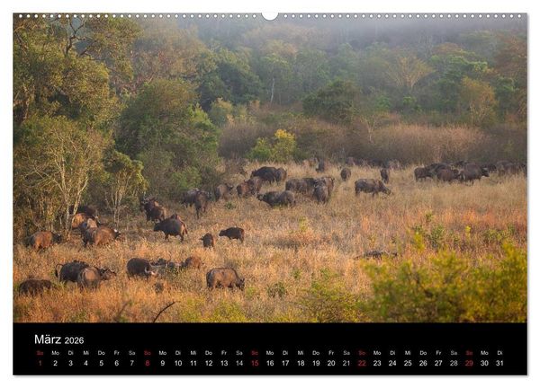 Produktbild: Wundersch&ouml;nes S&uuml;dafrika (Wandkalender 2026 DIN A2 quer), CALVENDO Monatskalender
