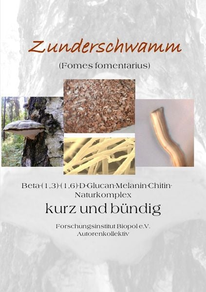 Produktbild: Ver&ouml;ffentlichungen des Forschungsinstitutes Biopol / Zunderschwamm Beta-(1,3)-(1-6)-D-Glucan-Melanin-Chitin-Naturkomplex kurz und b&uuml;ndig