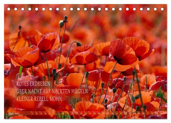 Produktbild: Haiku Poesie in Wort und Bild (Tischkalender 2026 DIN A5 quer), CALVENDO Monatskalender