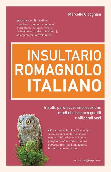 Produktbild: Insultario romagnolo-italiano. Insulti, parolacce, imprecazioni, modi di dire poco gentili e vilipendi vari