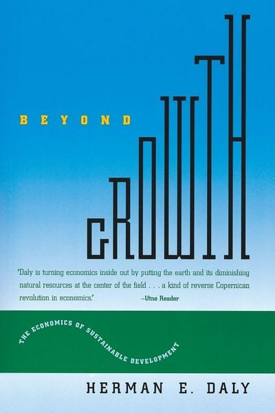 Produktbild: Beyond Growth