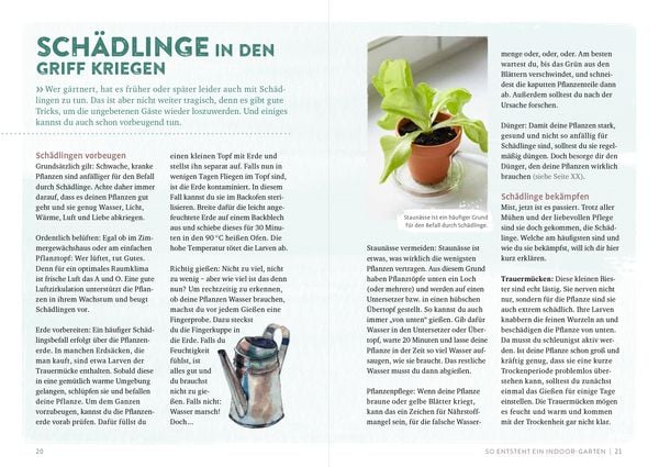 Produktbild: Endlich Mittagspause! Indoor-G&auml;rtnern zwischen Mails und Meetings mit Pfl&uuml;cksalat, Sprossen & Co.