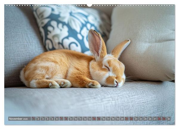 Produktbild: A Cuddly Rabbit Life (High Quality Premium Wall Calendar 2026 DIN A2 landscape),CALVENDO 12 Month Wall Calendar