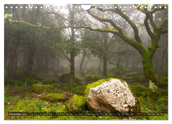 Produktbild: Sardinien Sardigna Sardegna Sardenya 2026 (Wandkalender 2026 DIN A4 quer), CALVENDO Monatskalender