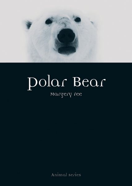 Produktbild: Polar Bear