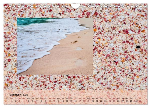 Produktbild: bermuda pink (Wall Calendar 2026 DIN A4 landscape), CALVENDO 12 Month Wall Calendar