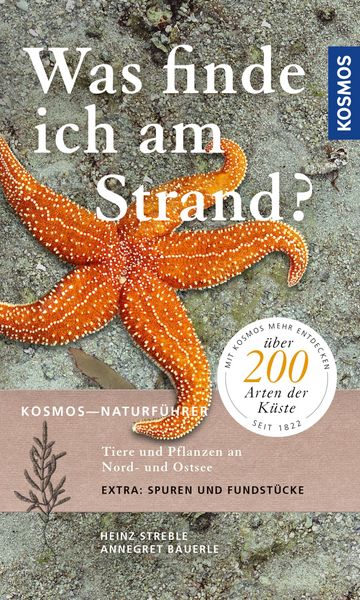 Produktbild: Was finde ich am Strand?