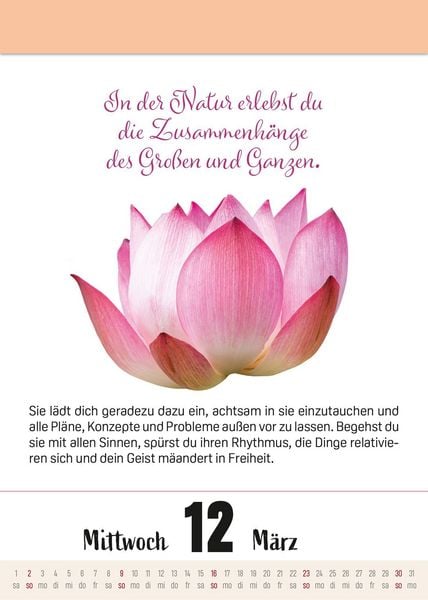 Produktbild: Ein Jahr voller Achtsamkeit Abrei&szlig;kalender 2027 - Abrei&szlig;kalender 2027 mit t&auml;glichen Impulsen & Mantras