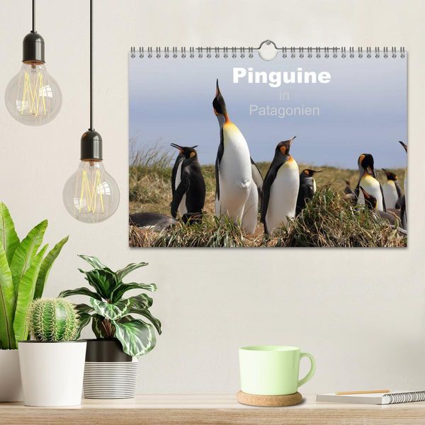 Produktbild: Pinguine in Patagonien (Wandkalender 2026 DIN A4 quer), CALVENDO Monatskalender