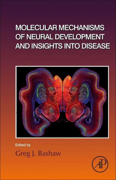 Produktbild: Molecular Mechanisms of Neural Development and Insights into Disease