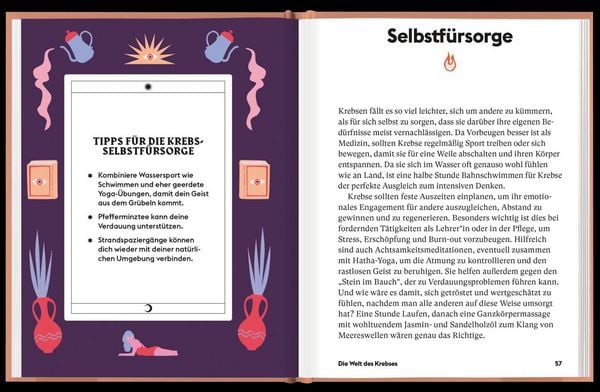 Produktbild: Krebs