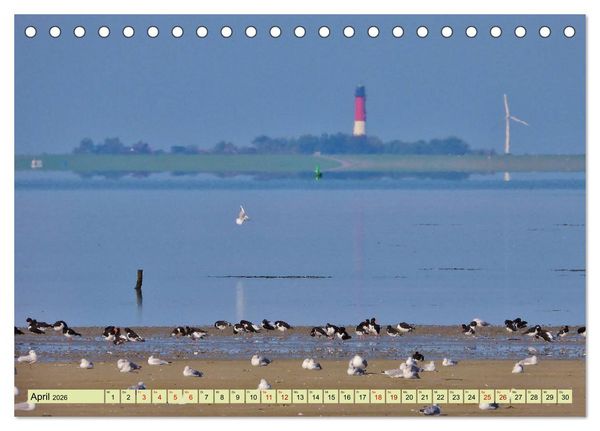 Produktbild: Sonne, Sand und Meer. Farben der K&uuml;ste (Tischkalender 2026 DIN A5 quer), CALVENDO Monatskalender