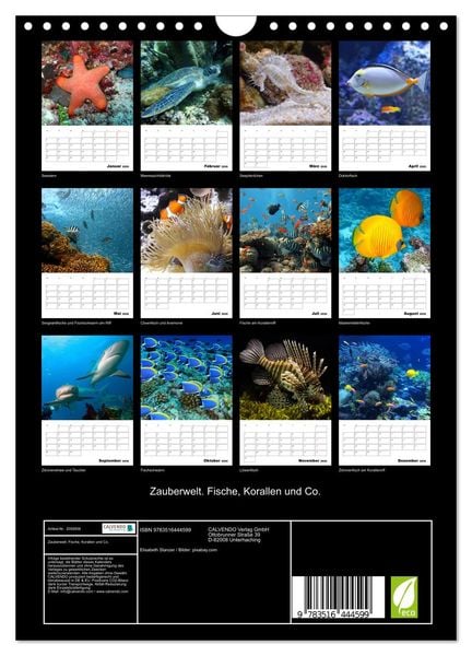 Produktbild: Zauberwelt. Fische, Korallen und Co. (Wandkalender 2026 DIN A4 hoch), CALVENDO Monatskalender