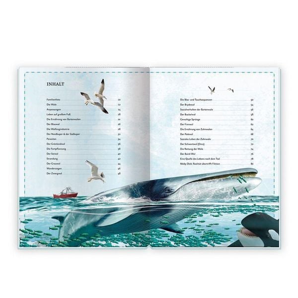 Produktbild: Tr&ouml;tsch Kinderbuch Das gro&szlig;artige Buch der Wale| Ab 8 Jahren