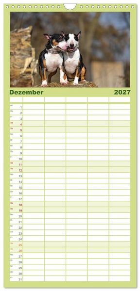 Produktbild: Familienplaner 2027 - Einmal Bullterrier - immer Bullterrier mit 5 Spalten (Wandkalender, 21 x 45 cm) CALVENDO