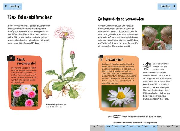 Produktbild: Welche essbare Pflanze ist das? Kindernaturf&uuml;hrer