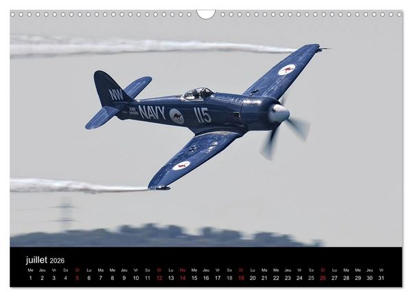 Produktbild: Ailes sur la France (Calendrier mural 2026 DIN A3 vertical), CALVENDO calendrier mensuel