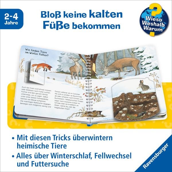 Produktbild: Wieso? Weshalb? Warum? junior, Band 31 - Tiere im Winter