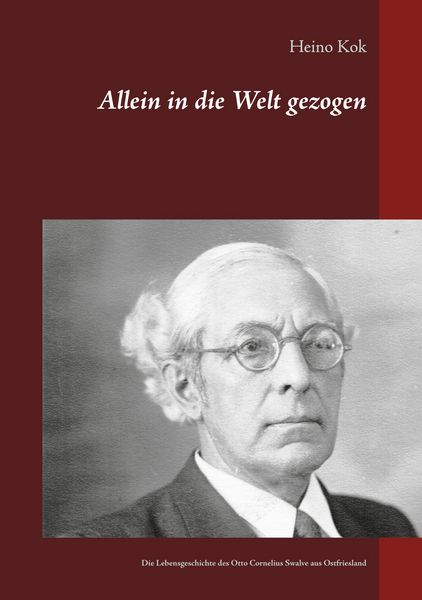 Produktbild: Allein in die Welt gezogen