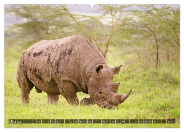 Produktbild: Auf Safari in Kenia 2026 (hochwertiger Premium Wandkalender 2026 DIN A2 quer), Kunstdruck in Hochglanz
