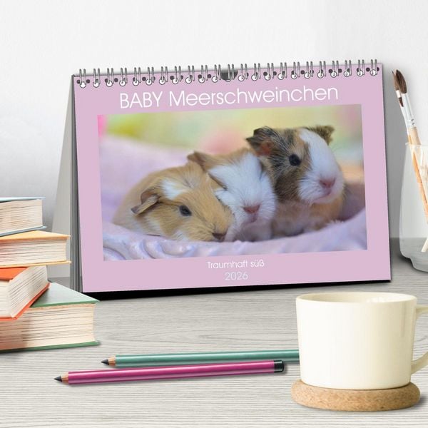 Produktbild: BABY Meerschweinchen Traumhaft s&uuml;&szlig; (Tischkalender 2026 DIN A5 quer), CALVENDO Monatskalender