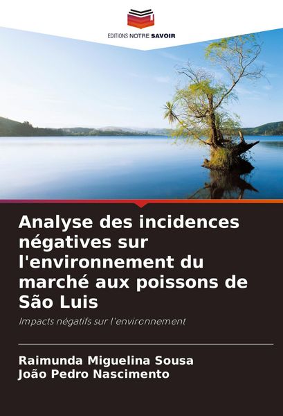 Produktbild: Analyse des incidences n&eacute;gatives sur l'environnement du march&eacute; aux poissons de S&atilde;o Luis