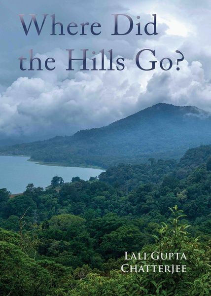 Produktbild: Where Did the Hills Go