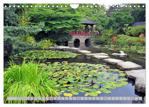 Produktbild: Fern&ouml;stlicher Zauber Japanischer Garten Leverkusen (Wandkalender 2026 DIN A4 quer), CALVENDO Monatskalender