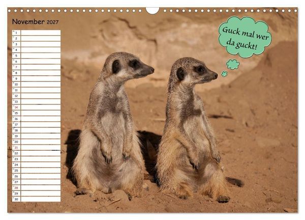 Produktbild: Wenn Tiere Sprechen k&ouml;nnten! Der lustige Spr&uuml;che Geburtstagskalender (Wandkalender 2027 DIN A3 quer), CALVENDO Monatskalender