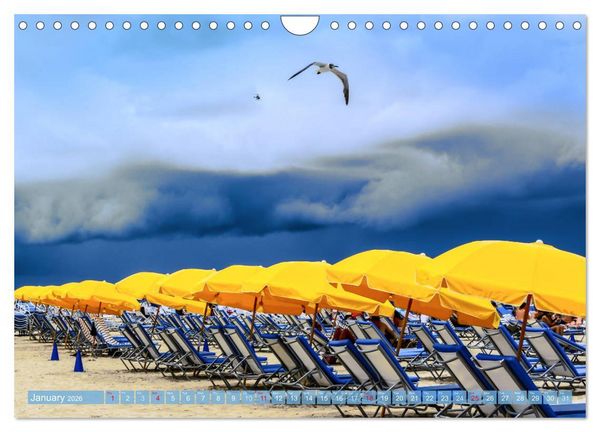 Produktbild: Florida &ndash; sunny beaches and mysterious swamps (Wall Calendar 2026 DIN A4 landscape), CALVENDO 12 Month Wall Calendar