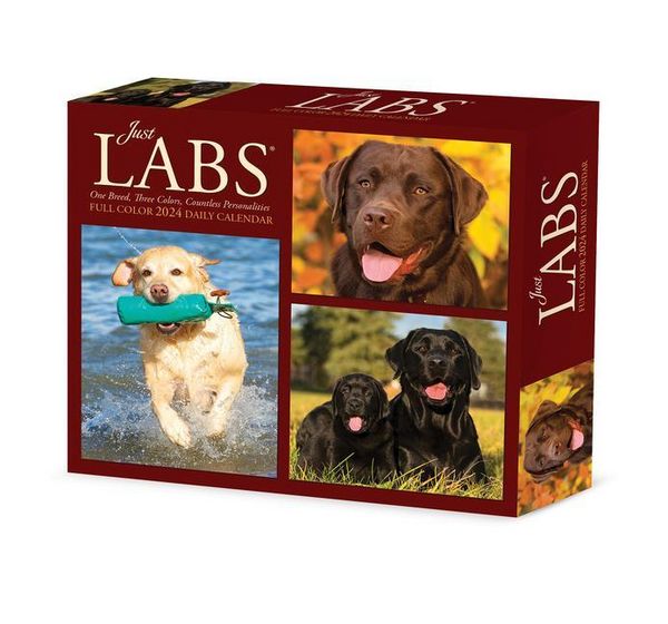 Produktbild: Willow Creek Press: Labs 2024 6.2 X 5.4 Box Calendar