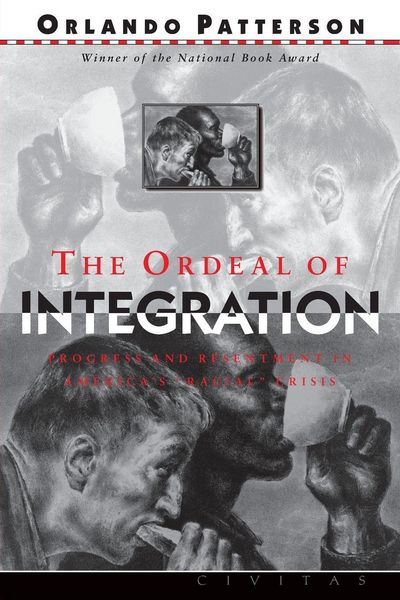 Produktbild: The Ordeal of Integration