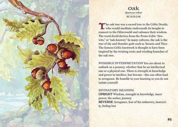 Produktbild: The Herbalist's Oracle