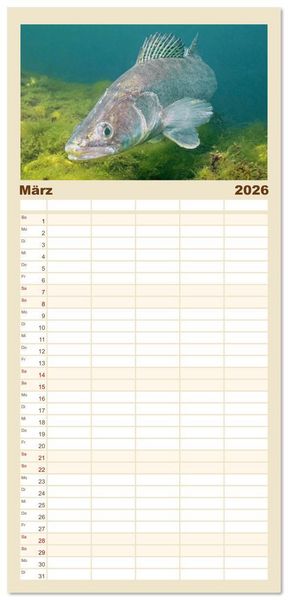 Produktbild: Familienplaner 2026 - Forelle, Hecht und St&ouml;r: Fische in europ&auml;ischen Gew&auml;ssern mit 5 Spalten (Wandkalender, 21 x 45 cm) CALVENDO