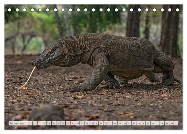 Produktbild: Drachen: Geheimnisvolles Tierreich (Tischkalender 2027 DIN A5 quer), CALVENDO Monatskalender