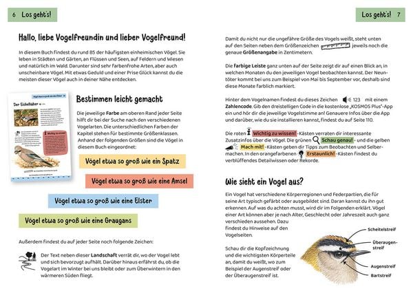 Produktbild: Was fliegt denn da? Kindernaturf&uuml;hrer