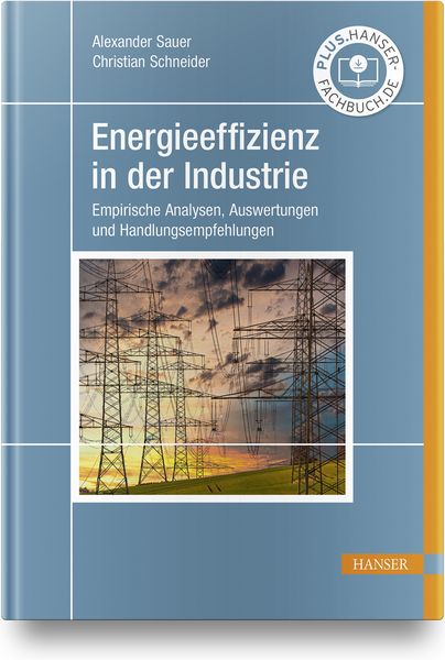 Produktbild: Energieeffizienz in der Industrie