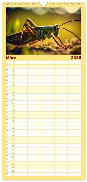 Produktbild: Familienplaner 2026 - Filigrane Insekten mit 5 Spalten (Wandkalender, 21 x 45 cm) CALVENDO