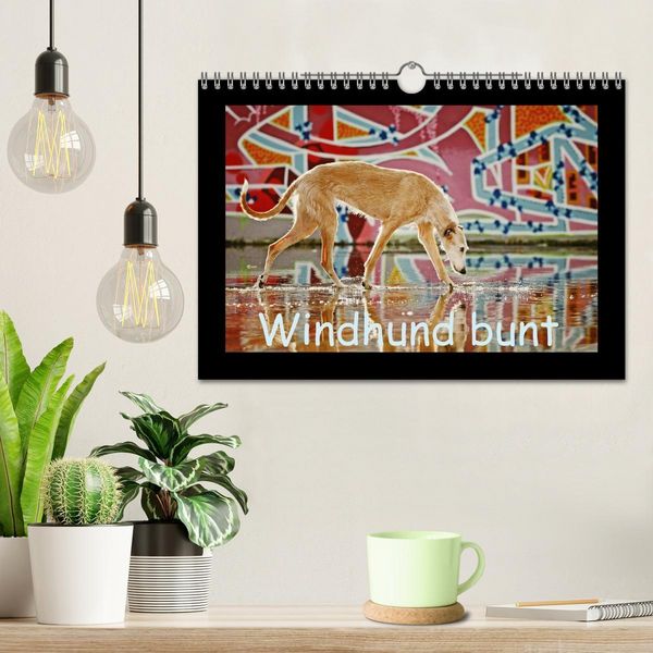 Produktbild: Windhund bunt (Wandkalender 2026 DIN A4 quer), CALVENDO Monatskalender