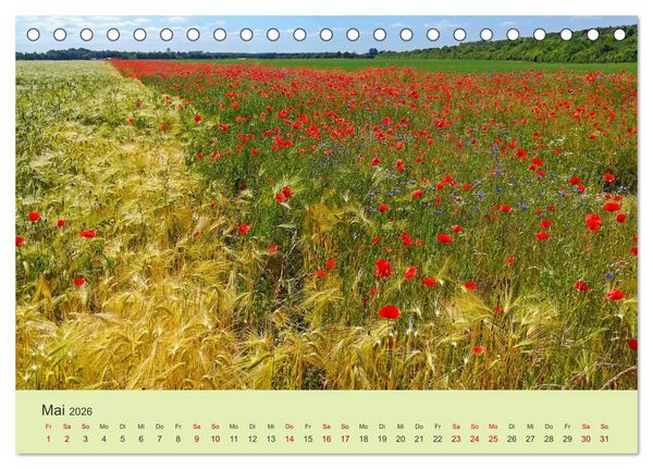 Produktbild: Wilde Blumen - ein Spaziergang durch die Natur (Tischkalender 2026 DIN A5 quer), CALVENDO Monatskalender