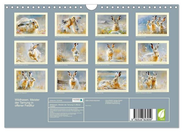 Produktbild: Wildhasen. Meister der Tarnung in offener Feldflur (Wandkalender 2027 DIN A4 quer), CALVENDO Monatskalender