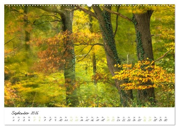 Produktbild: In der Welt der B&auml;ume (hochwertiger Premium Wandkalender 2026 DIN A2 quer), Kunstdruck in Hochglanz