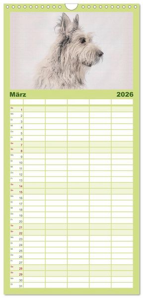 Produktbild: Familienplaner 2026 - Franz&ouml;sische Hirtenhunde 2026 mit 5 Spalten (Wandkalender, 21 x 45 cm) CALVENDO