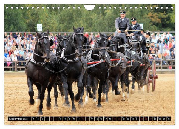 Produktbild: Schwere Warmbl&uuml;ter 2026 (Wandkalender 2026 DIN A4 quer), CALVENDO Monatskalender