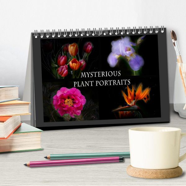 Produktbild: Mysterious plant portraits (Desk Calendar 2026 DIN A5 landscape), CALVENDO 12 Month DeskCalendar